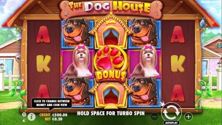 The Dog House: Rumah Anjing Penuh Kejutan Menggoda Mata