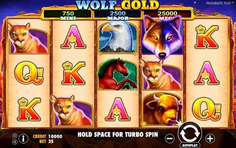 Wolf Gold: Petualangan Alam Liar Bersama Serigala Emas